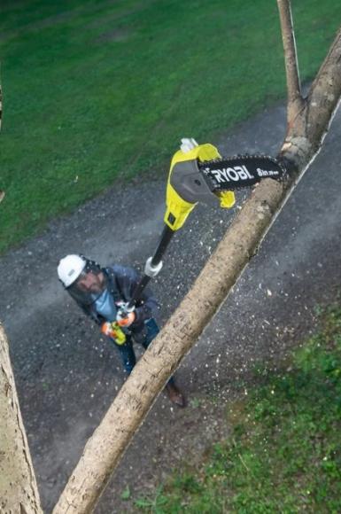 Pilarka do gałęzi OPP1820 Ryobi (5133001250)