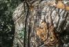Kurtka podgrzewana kamuflażowa M12 HJCAMO6-0 r. XXL Milwaukee (4933478981)